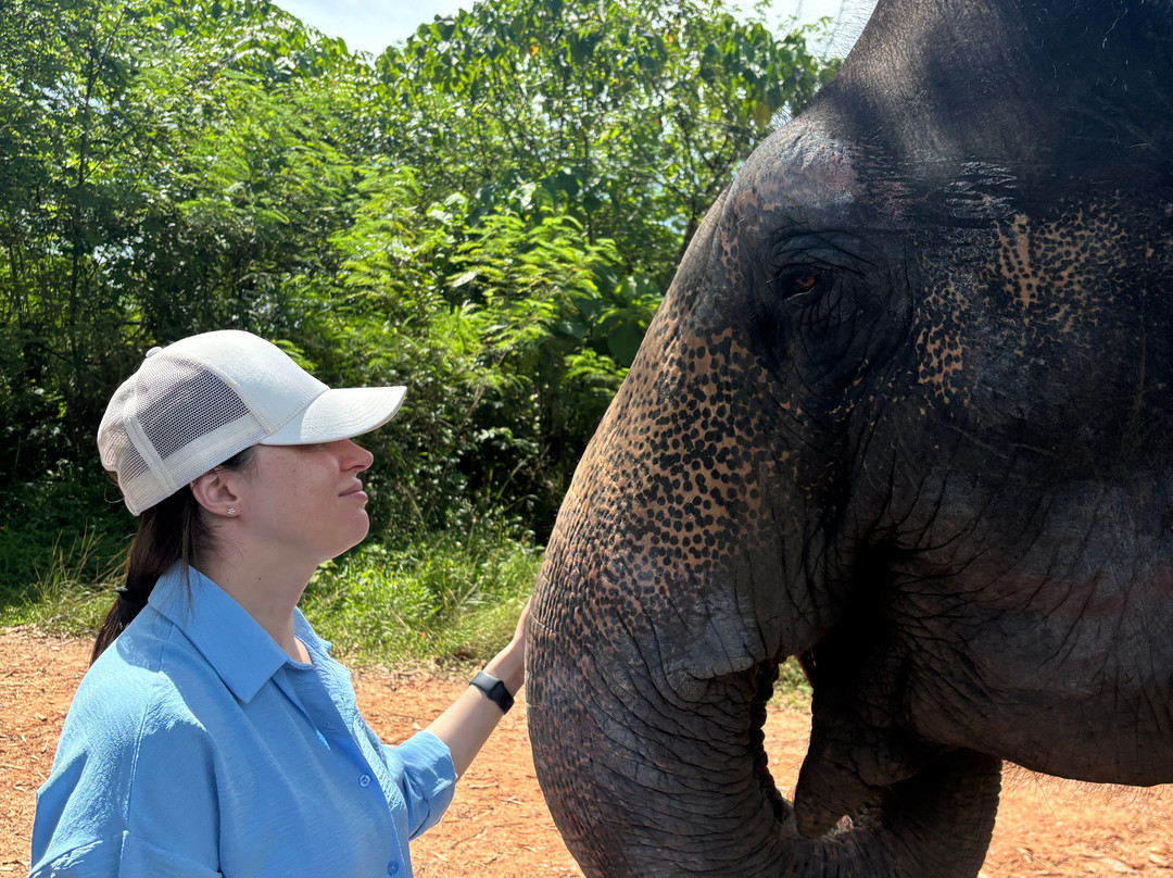 The Lake Phuket Elephant Home-Thep Krasatti必去景点