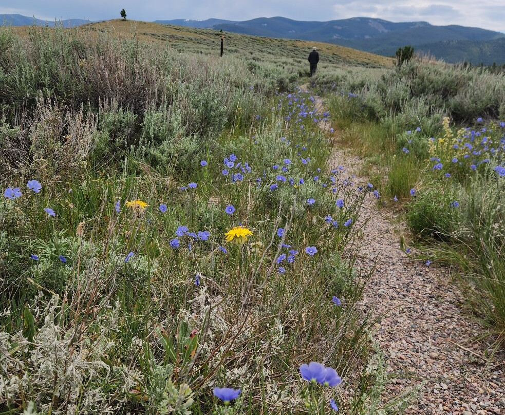 Lemhi Pass-Dillon必去景点