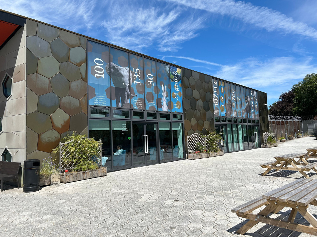 The Royal Mint Experience-Llantrisant必去景点