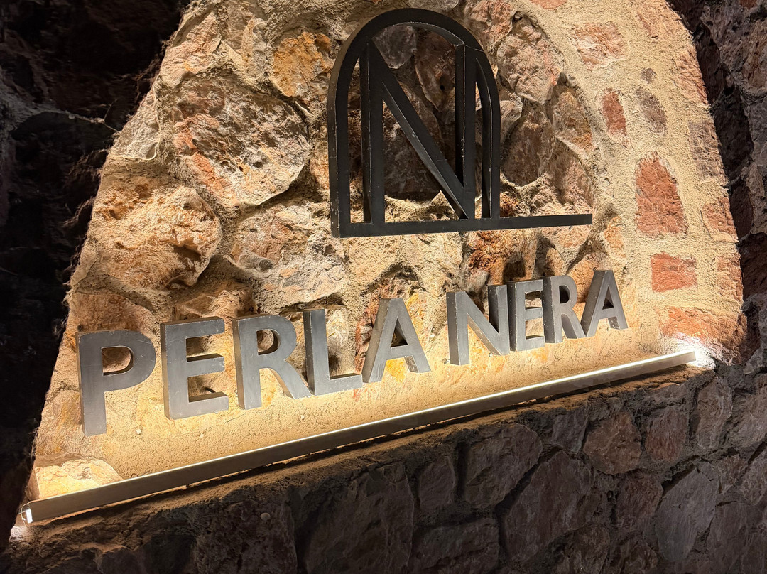珍珠内拉套房酒店主图