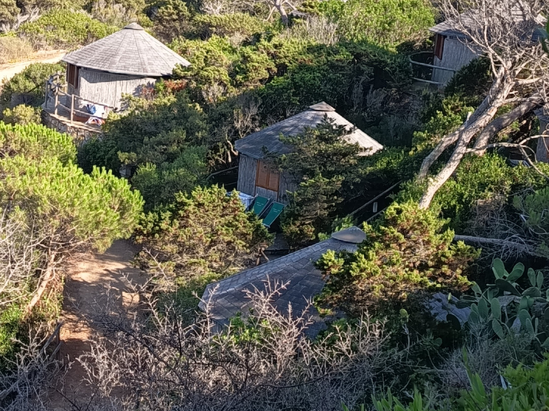 马达莱纳游览意大利假日公园主图