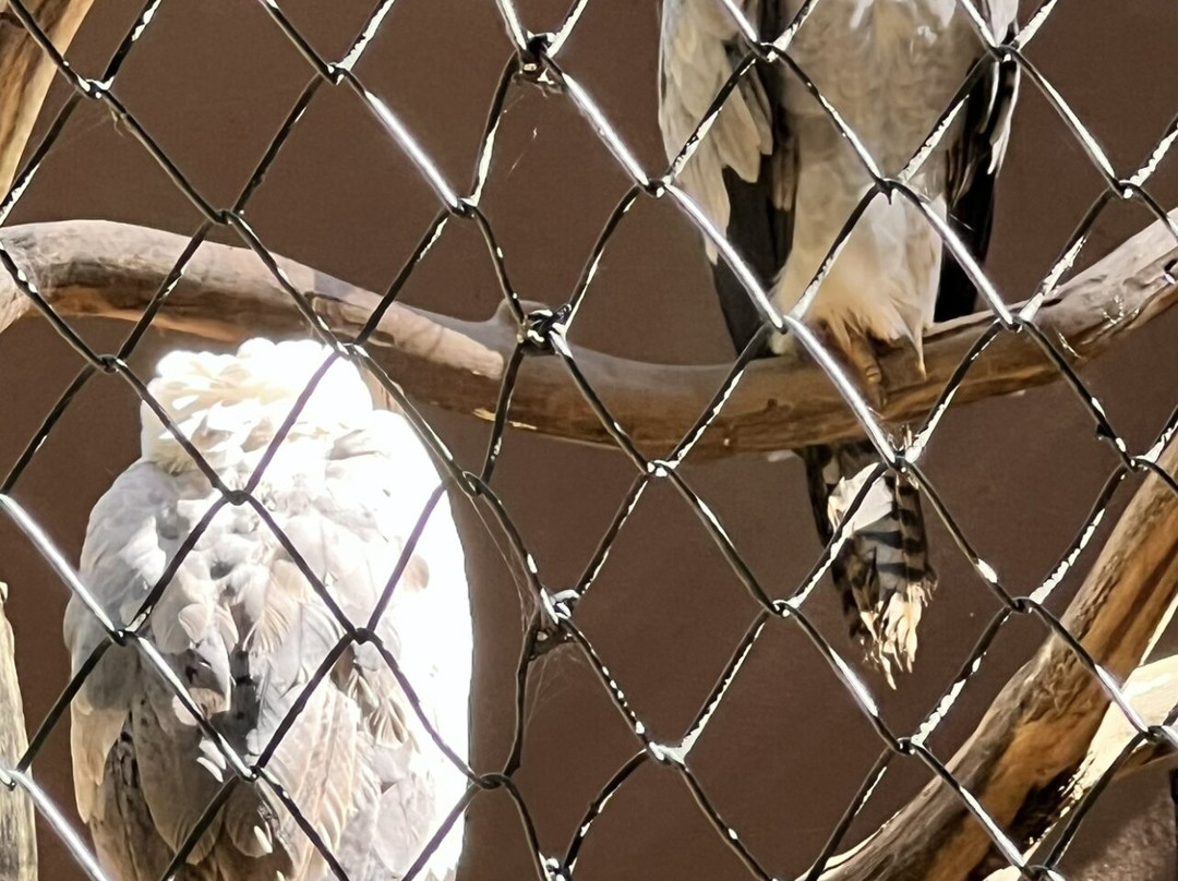 Zoologico De Sao Paulo-圣保罗必去景点
