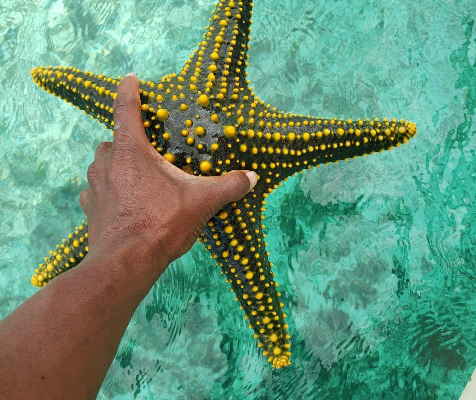 Triple J Zanzibar Tours And Transfers-桑给巴尔市必去景点