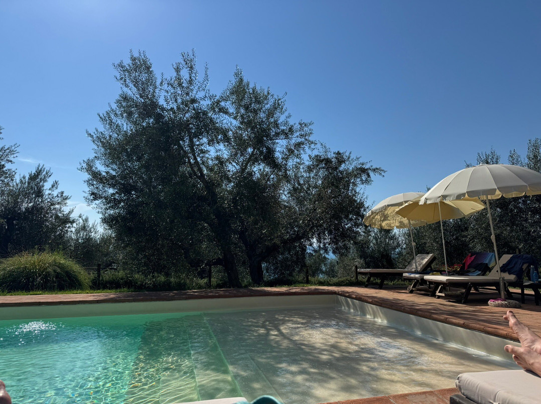 Podere Sant'Antonio