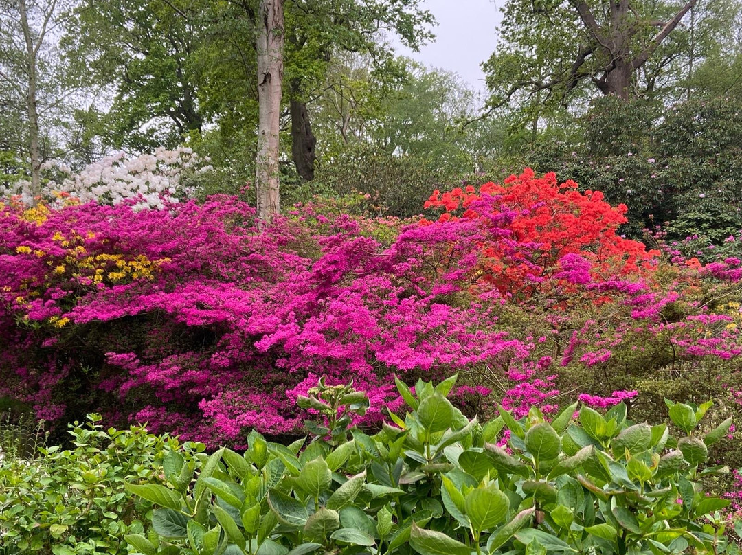Hoveton Hall Gardens-诺威奇必去景点