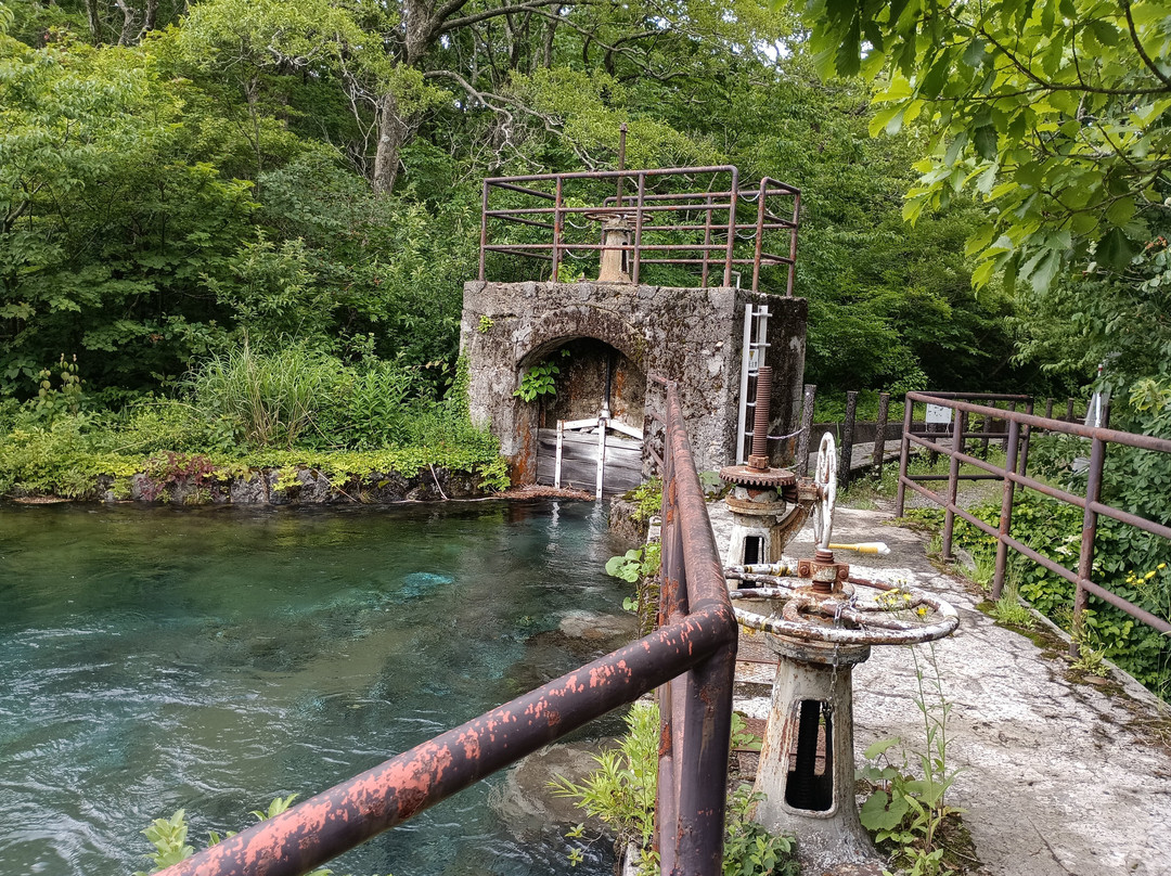 Nakajimadai Shishigahana Marsh-仁贺保市必去景点