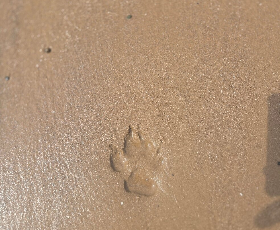 Silecroft Beach-Silecroft必去景点