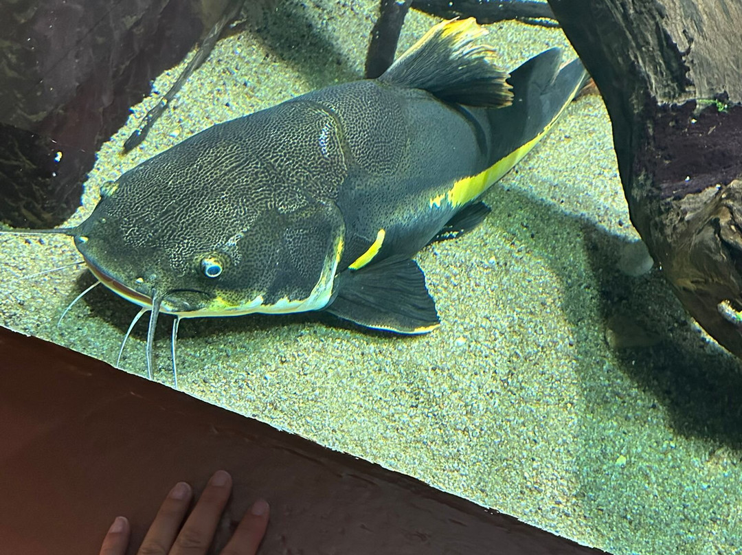 Aquarium Des Tropiques-Allex必去景点