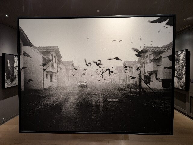 Galerija 11/07/95-萨拉热窝必去景点