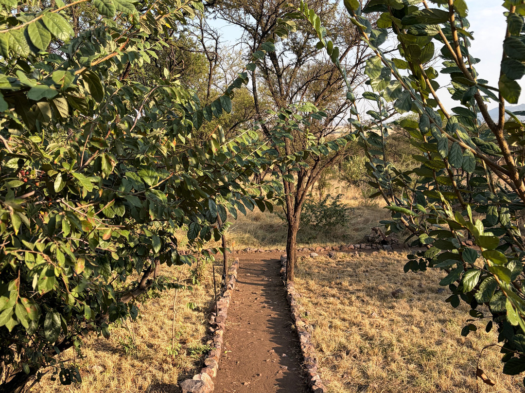 Mbuni Tented Camps-Seronera必去景点
