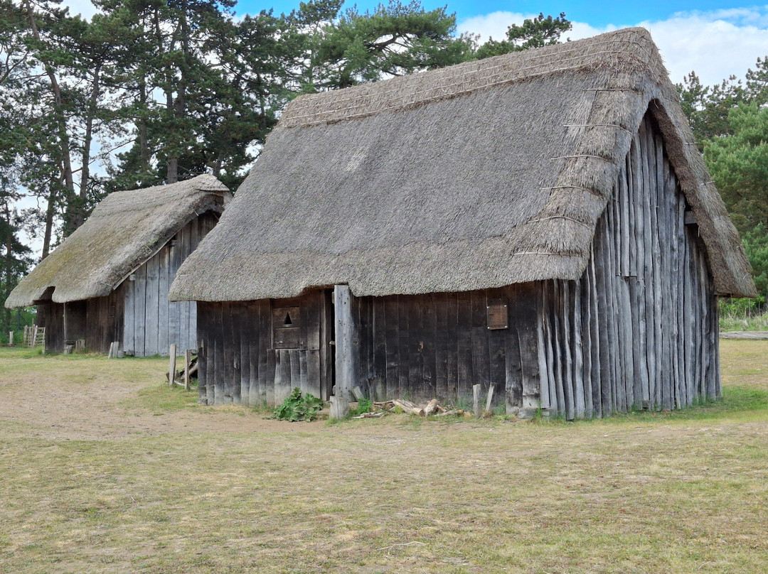 West Stow Anglo-Saxon Village and Country Park-圣埃德蒙兹伯里必去景点