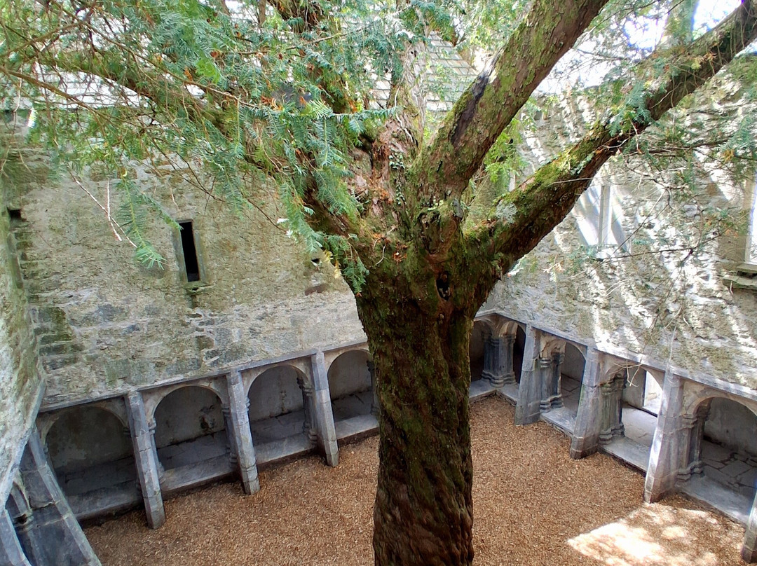 Muckross Abbey-基拉尼必去景点