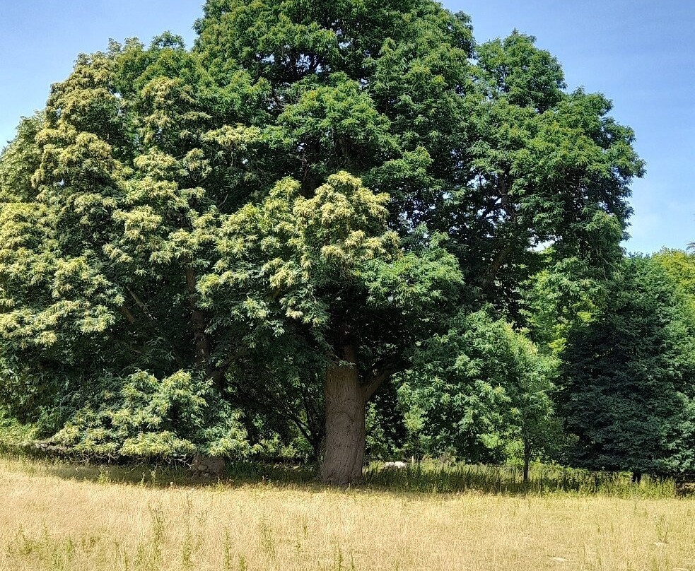 Hergest Croft Gardens-Kington必去景点