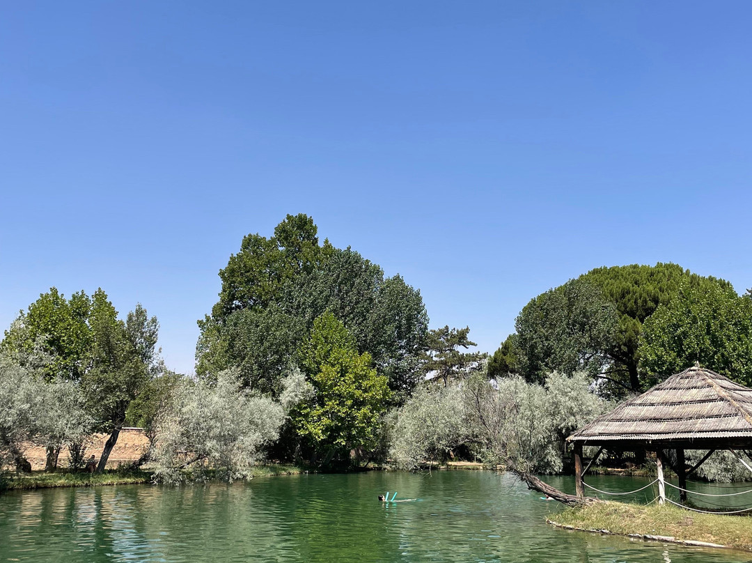 Hotel Parque Balneario Termas Pallares主图