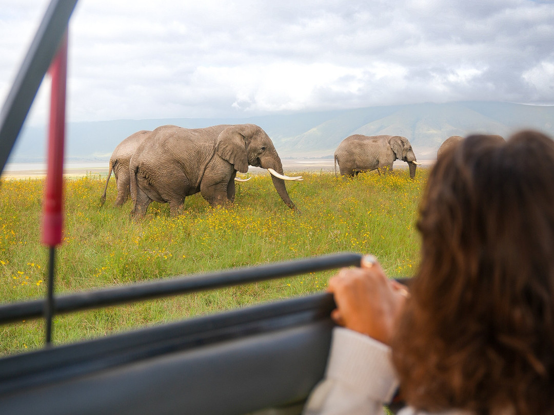 Makasa Tanzania Safaris-莫西必去景点