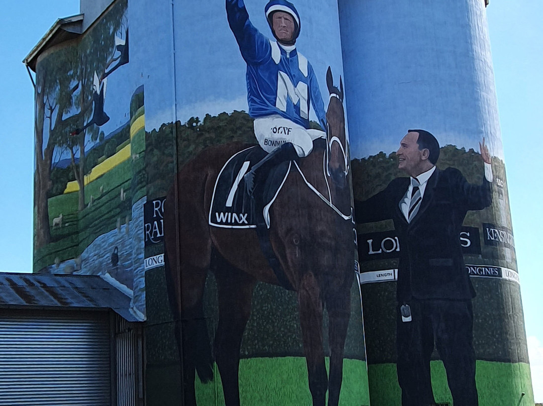Silo Art Dunedoo-Dunedoo必去景点