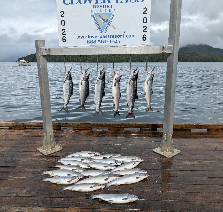 Svenson Sportfishing-凯奇坎必去景点