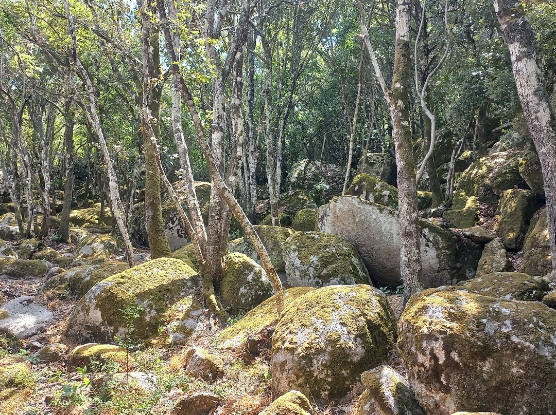 Parco Santa Degna-Aggius必去景点