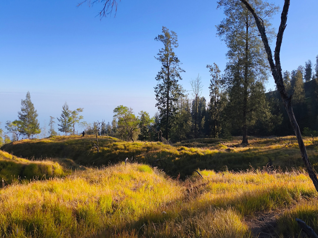 Visit Tambora-Bima必去景点