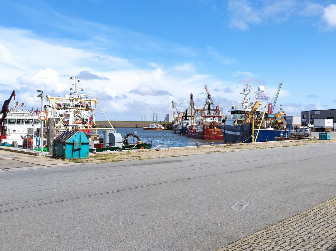 Port of Harlingen-哈灵根必去景点