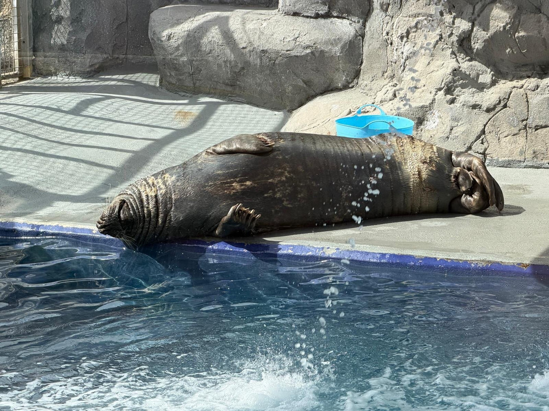 Cornish Seal Sanctuary-Gweek必去景点