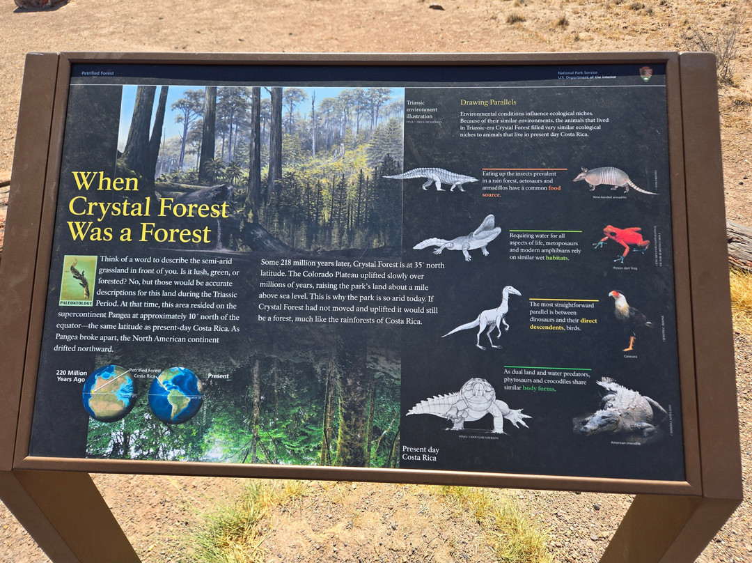 Petrified Forest National Park-霍尔布鲁克必去景点