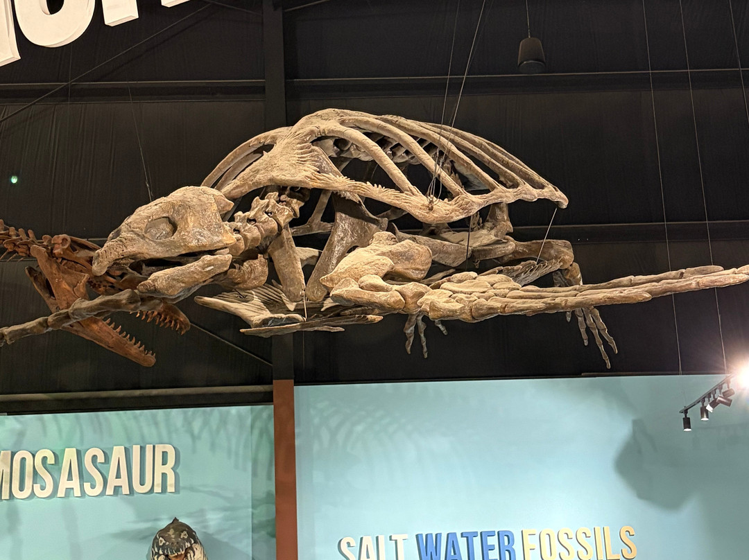 Indiana Dinosaur Museum-南本德必去景点