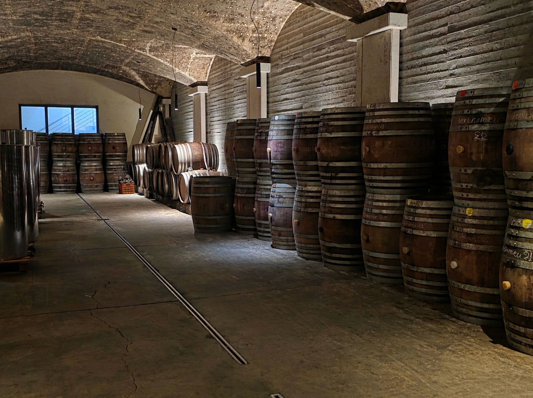 Manousakis Winery-Vatolakkos必去景点