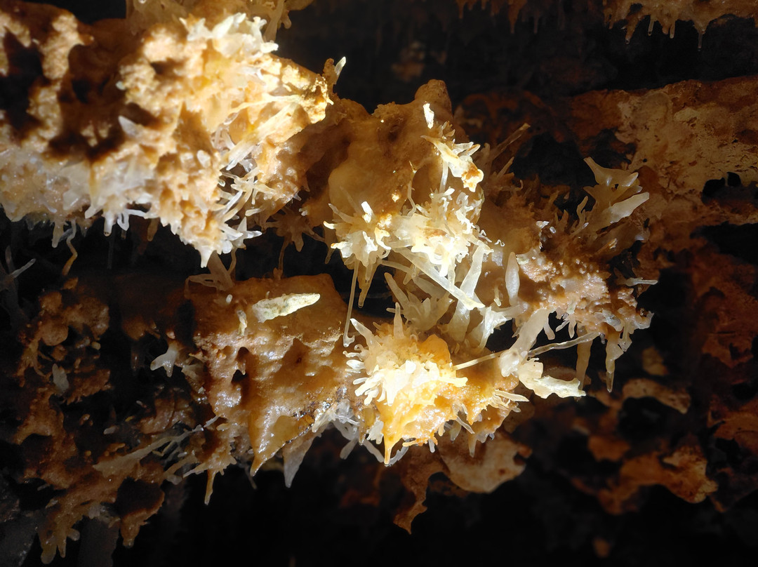 Grotte du Grand Roc-Les Eyzies-de-Tayac-Sireuil必去景点
