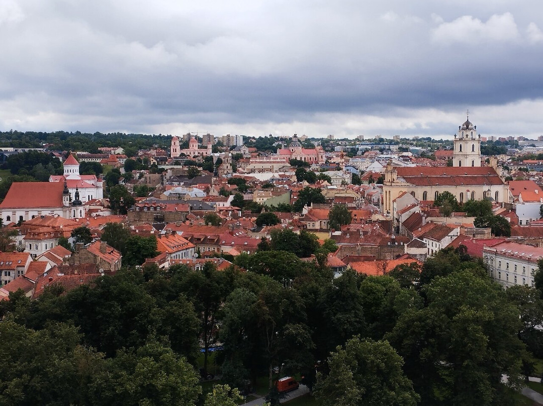 Gediminas Castle Tower-维尔纽斯必去景点