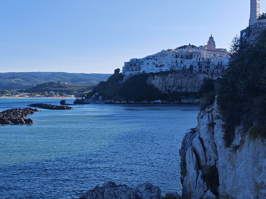 Trabucco Di Punta San Francesco-维耶斯泰必去景点