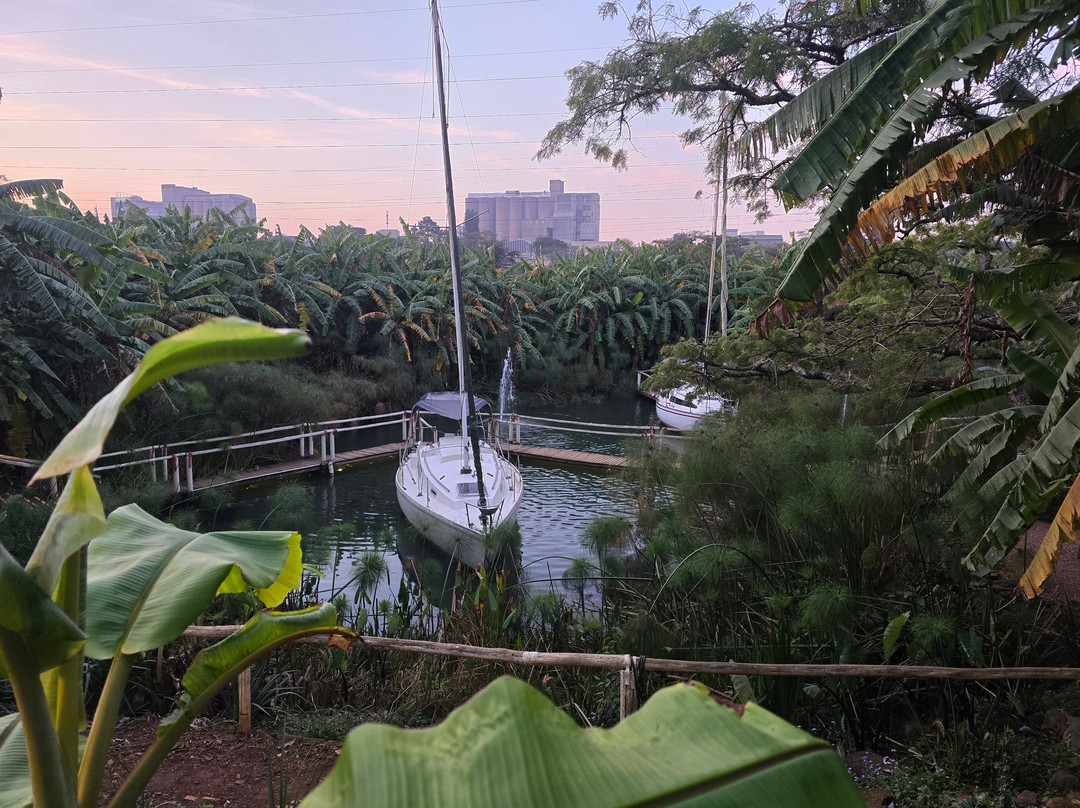 阿斯科特丛林住宿加早餐旅馆