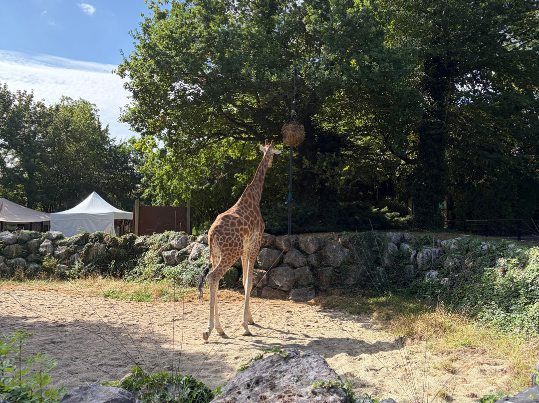 Zoo de Maubeuge-莫伯日必去景点
