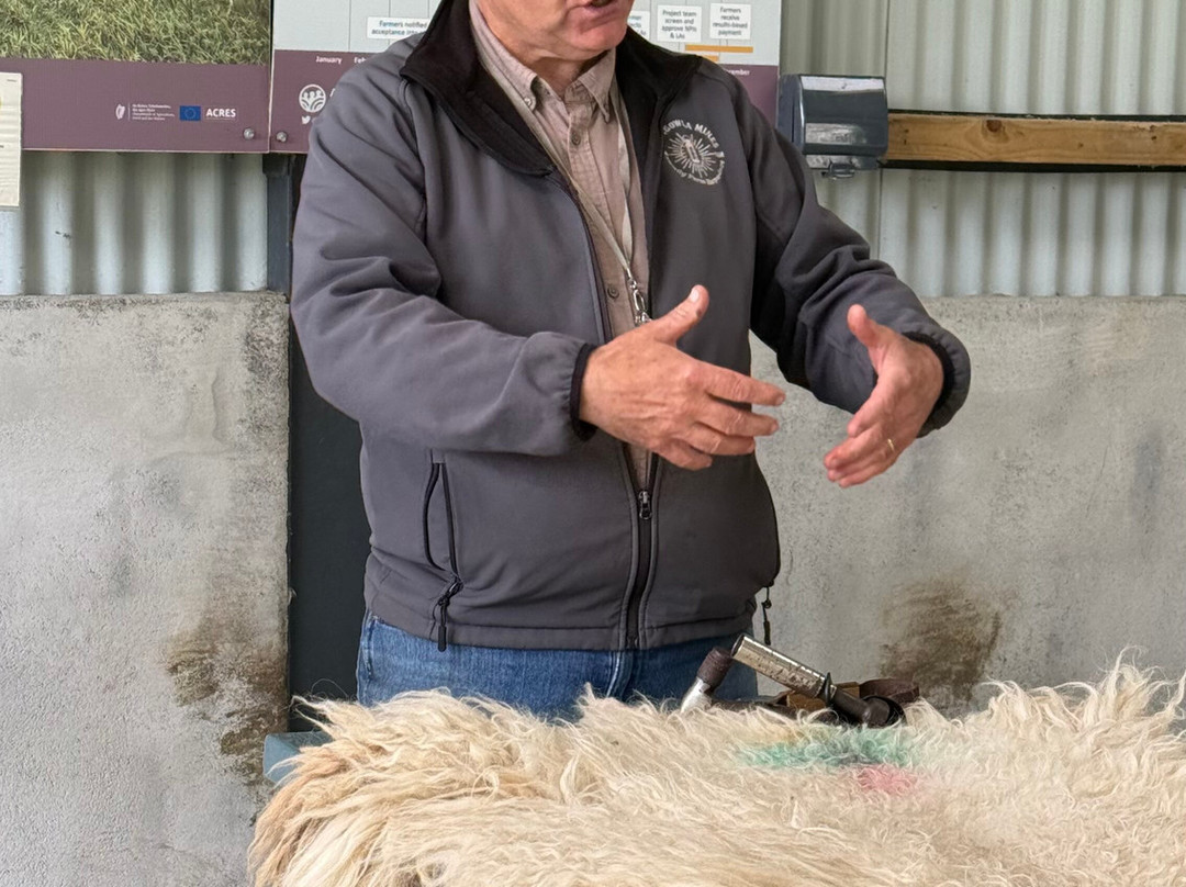 Glengowla Mines & Family Farm Experience-Oughterard必去景点
