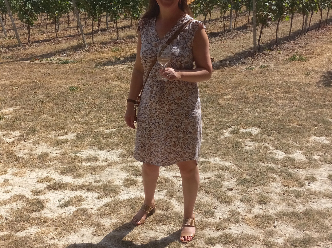 Wildshark Vineyard-Harrietsham必去景点