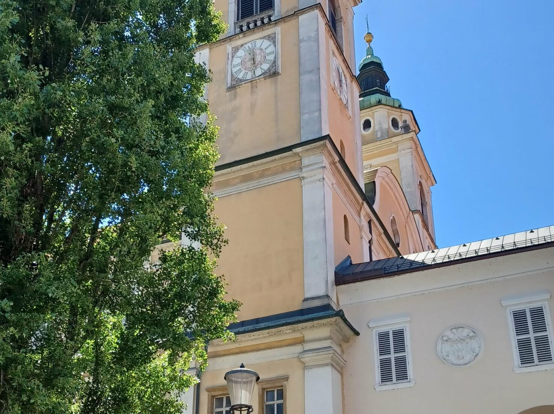 圣尼古拉斯大教堂（Stolnica Sv. Nikolaja）-卢布尔雅那必去景点