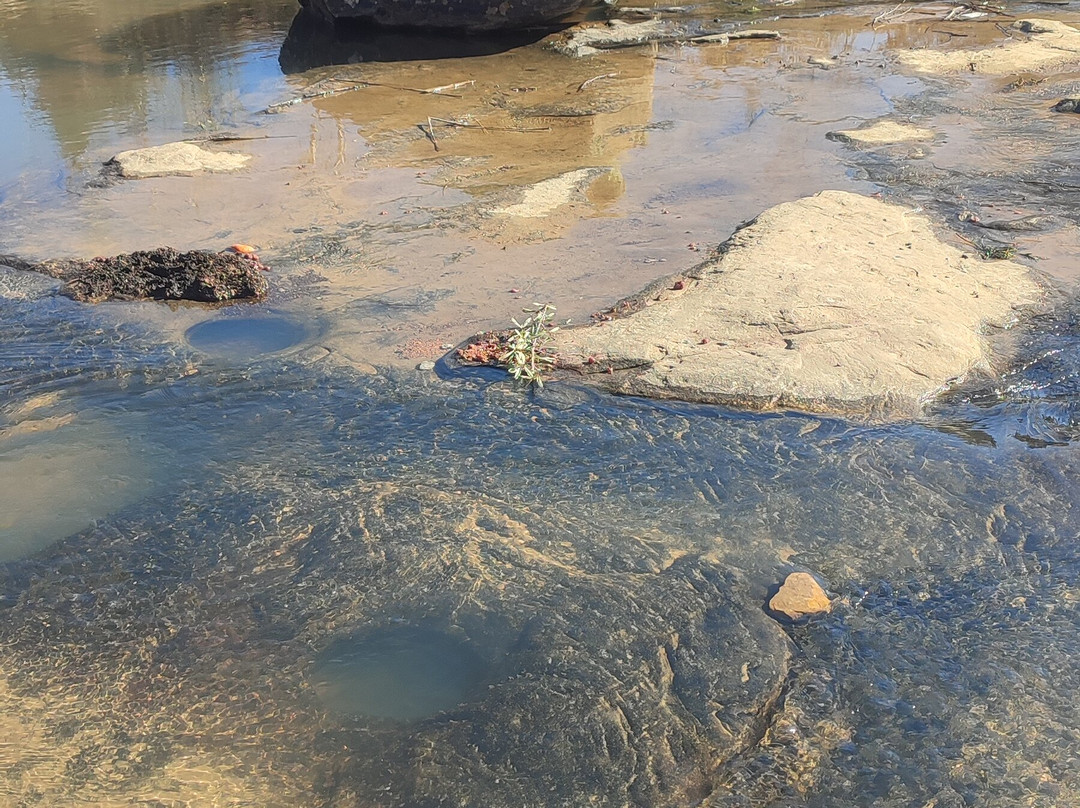 Subeng Dinosaur Foot Prints-Leribe District必去景点