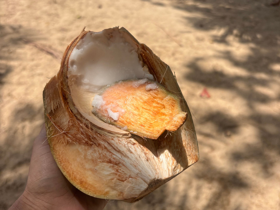 Playa El Valle-Santa Barbara de Samana必去景点