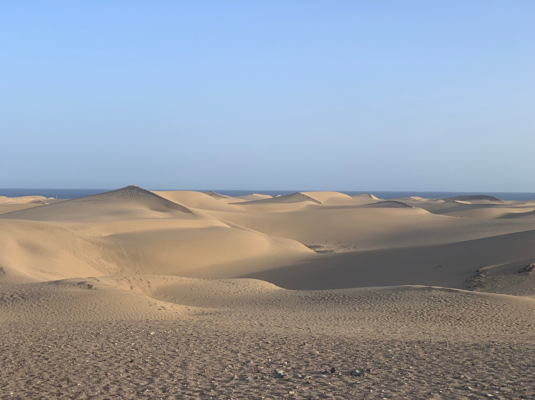 Reserva Natural Especial de Las Dunas de Maspalomas-马斯帕洛马斯必去景点