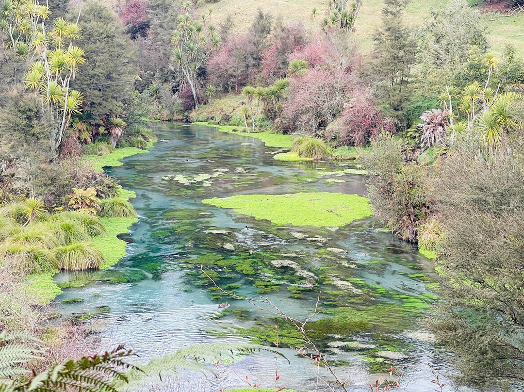 Blue Spring-普塔鲁鲁必去景点