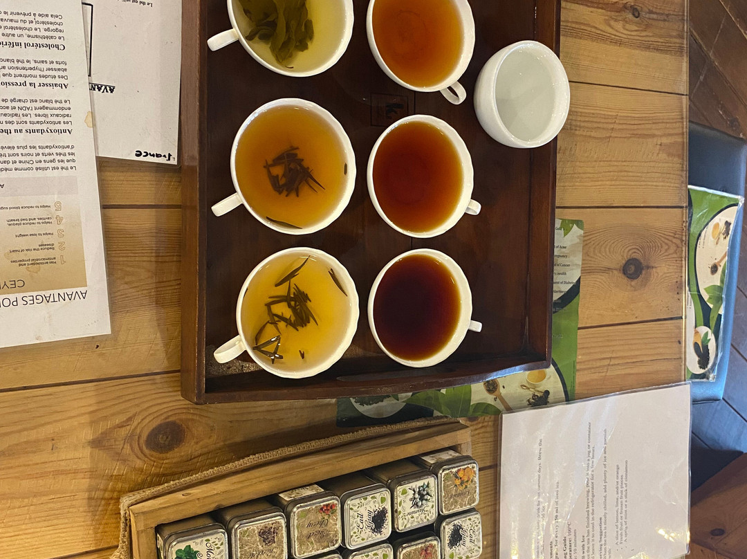 Pilimathalawa Tea Factory-Pilimathalawa必去景点
