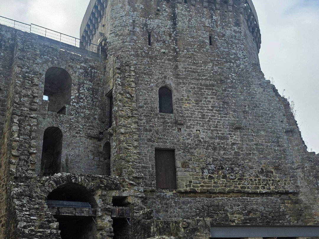 Chateau de la Hunaudaye-Pledeliac必去景点