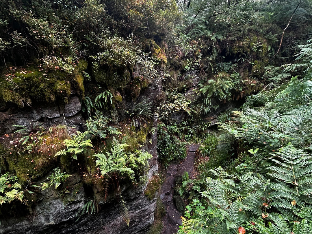Lud's Church-Gradbach必去景点