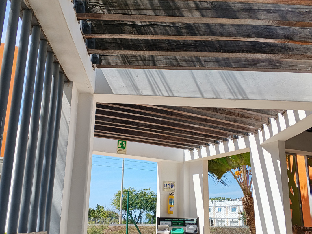 Tour nueva venecia pueblo palafito.-Puebloviejo必去景点