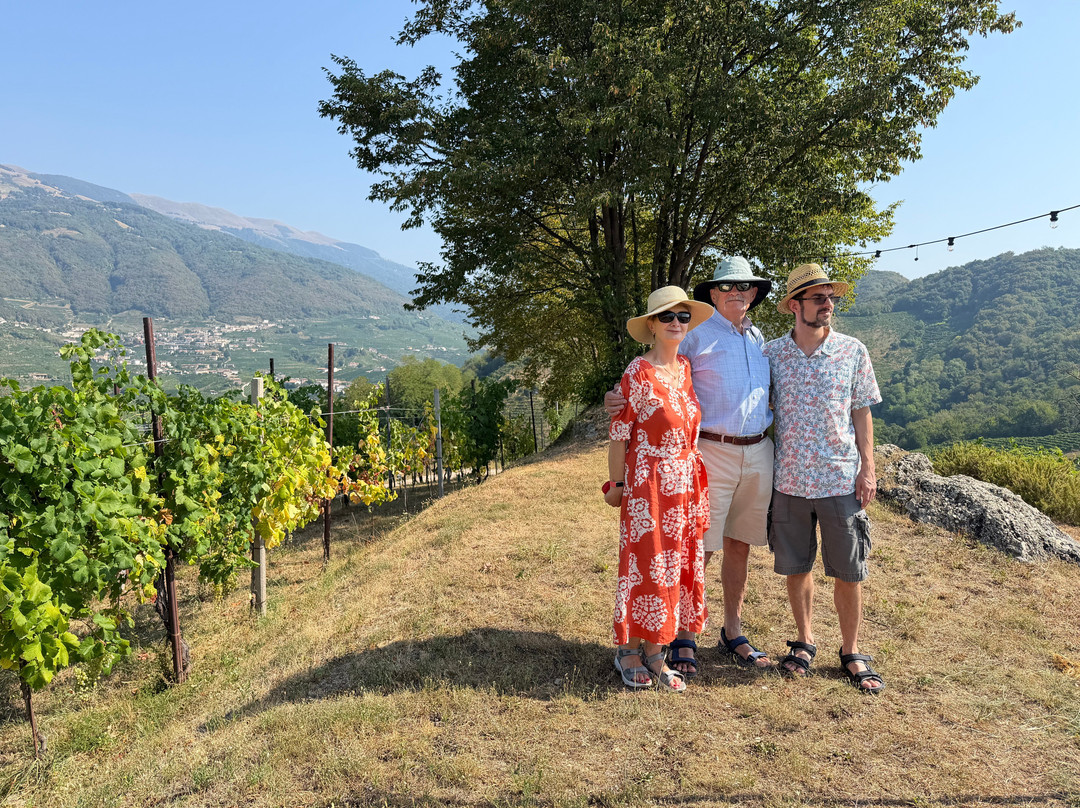 Col del lupo - Produzione e Degustazione Valdobbiadene Prosecco DOCG-Vidor必去景点