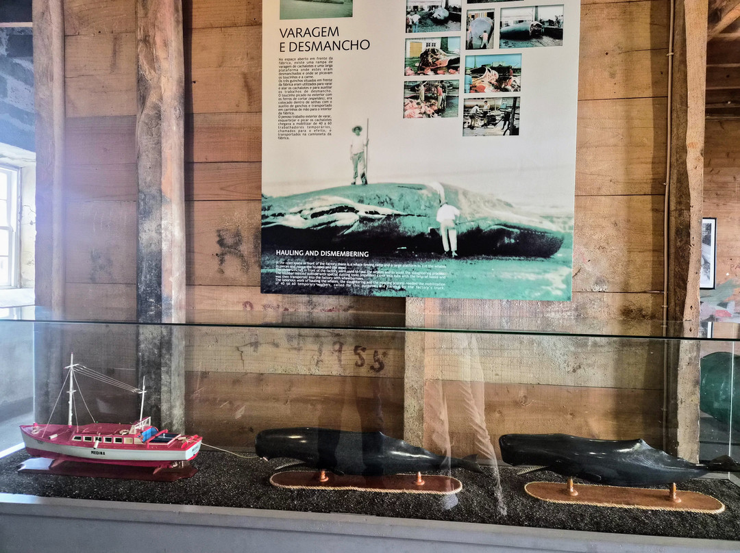 Museu da Industria Baleeira-Sao Roque do Pico必去景点