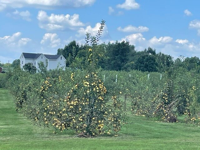 Haney's Appledale Farm-Nancy必去景点