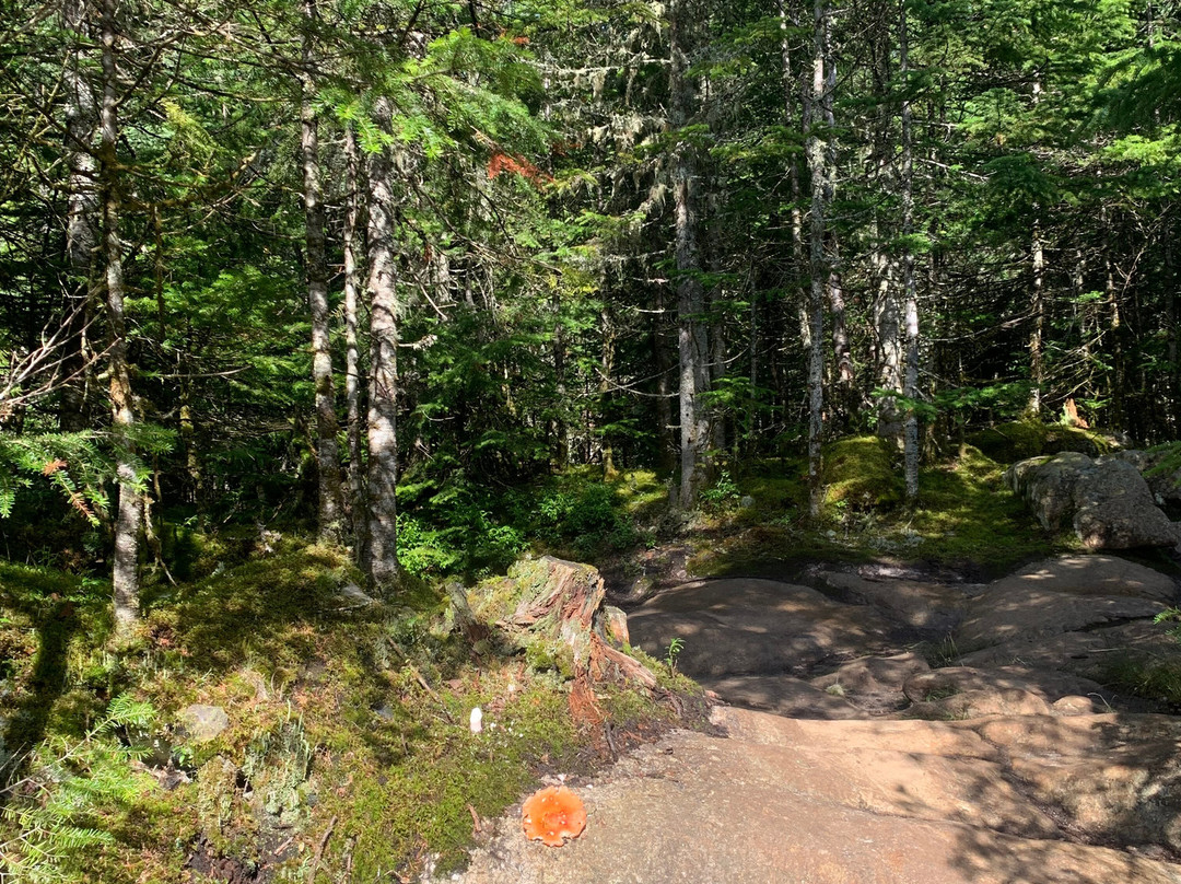 Parc national de la Jacques-Cartier-Stoneham-et-Tewkesbury必去景点