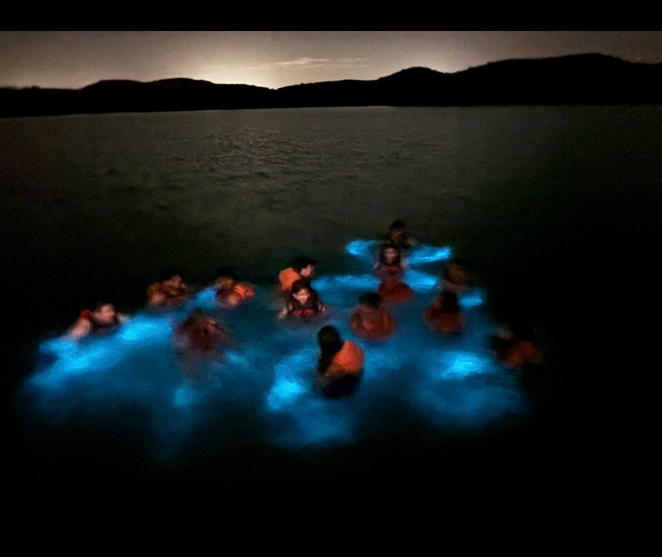 Parguera Water Sports-La Parguera必去景点