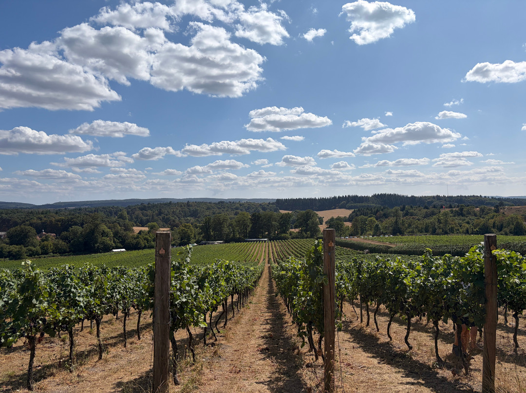 Albury Organic Vineyard-Albury必去景点